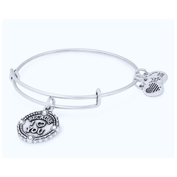 NWT Alex and Ani : because I love you silver ‘collectible’ charm bangle bracelet - Picture 1 of 14